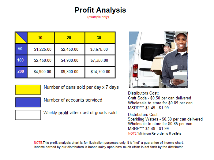 Profit-Analysis-Web